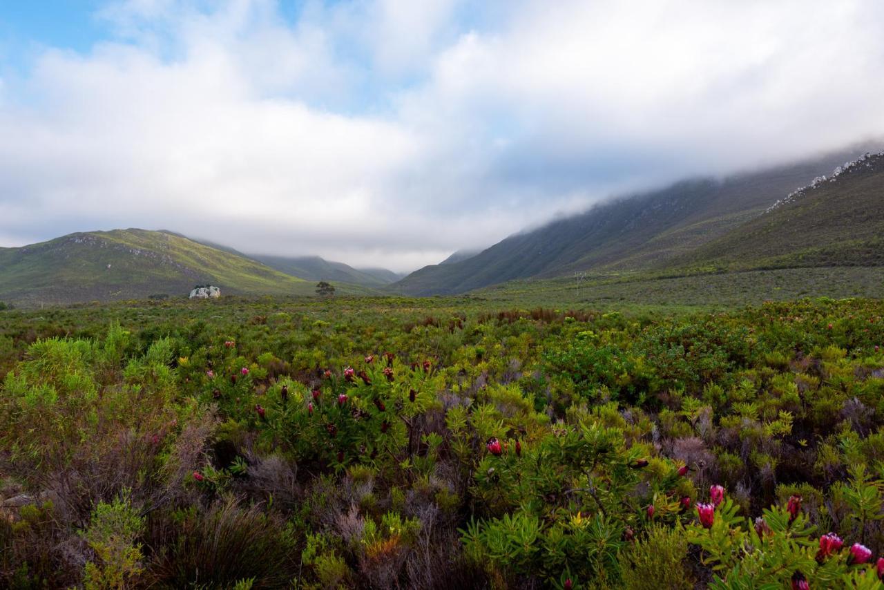 Honeyrock Cottages Kleinmond Exterior photo